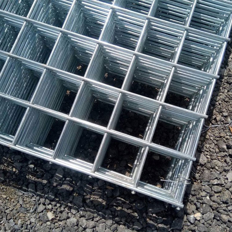 6x6 450丝镀锌网片